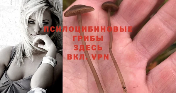 индика Алзамай
