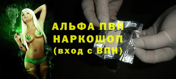 гашик Алексеевка