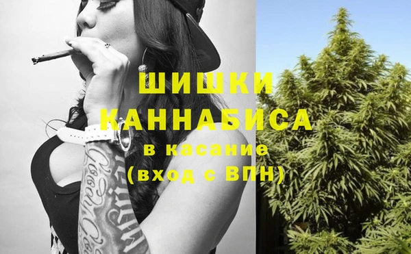 индика Алзамай