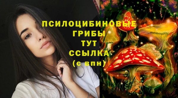 индика Алзамай