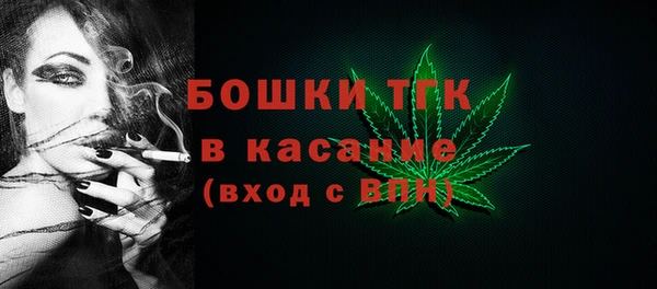 гашик Алексеевка